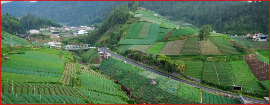 Tawangmangu Destinasi Herbal Tourism Indonesia